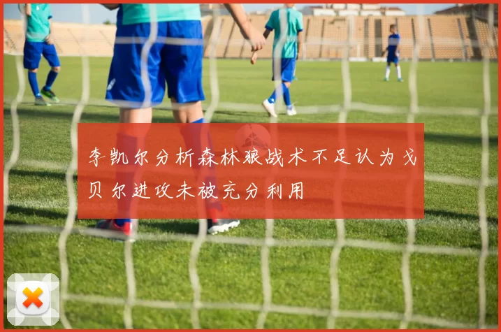 李凯尔分析森林狼战术不足认为戈贝尔进攻未被充分利用